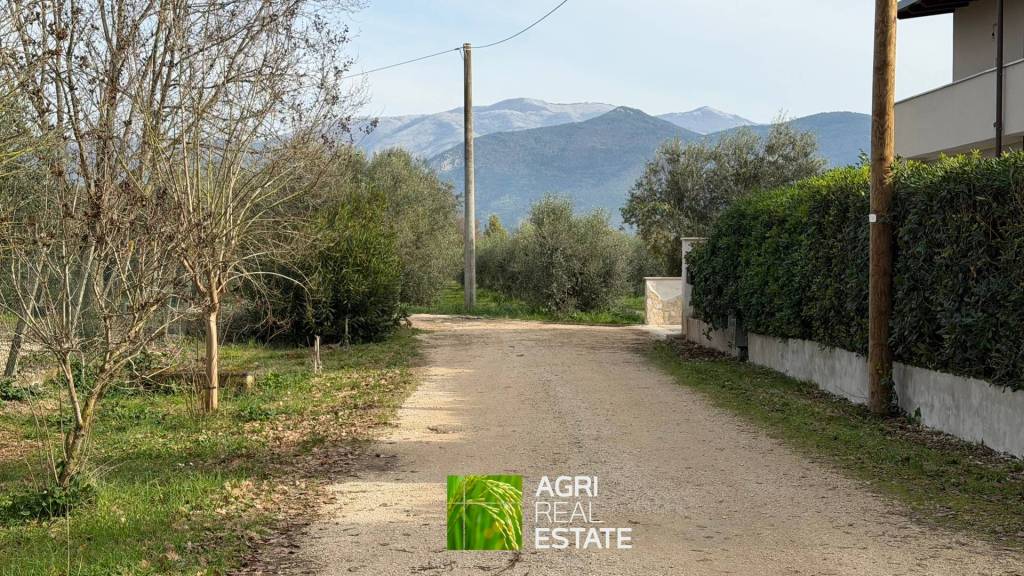 immagine annuncio 7 di 11