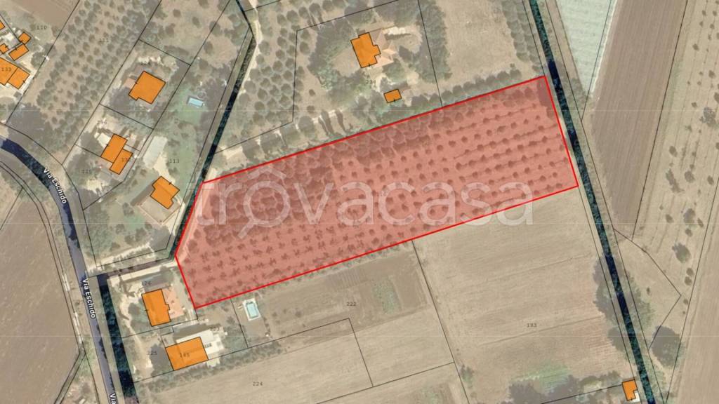 immagine annuncio 8 di 11