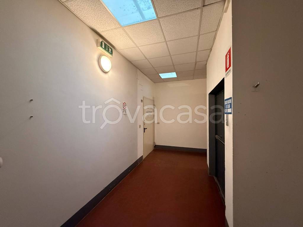 immagine annuncio 2 di 6