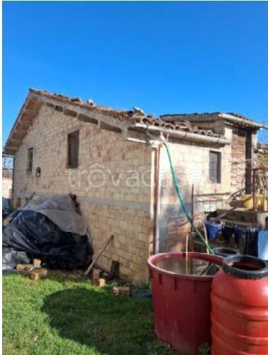 immagine annuncio 10 di 12