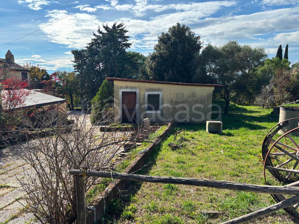 immagine annuncio 7 di 15