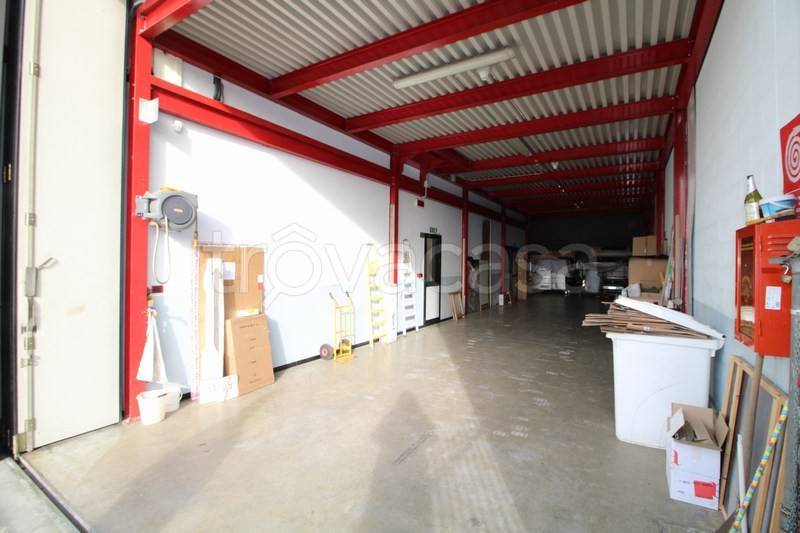 immagine annuncio 7 di 15