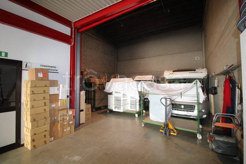 immagine annuncio 9 di 15