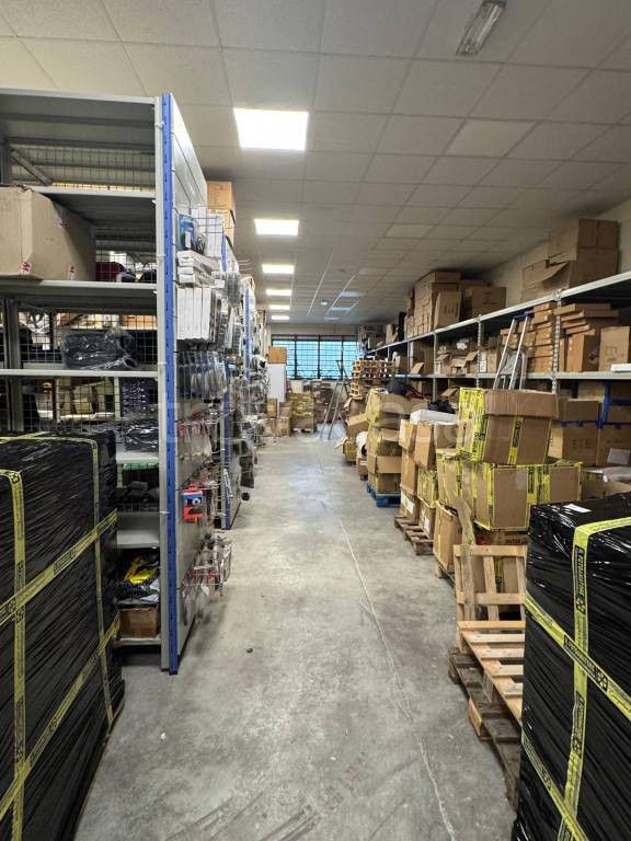 immagine annuncio 11 di 15