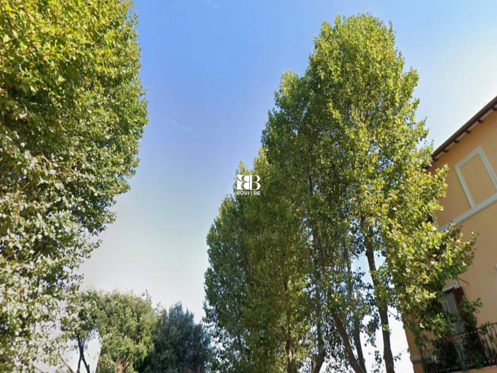 immagine annuncio 12 di 14