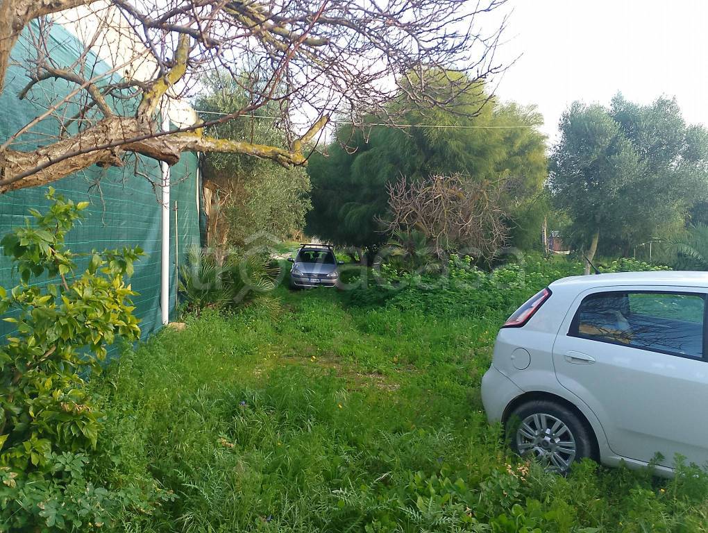 immagine annuncio 5 di 12