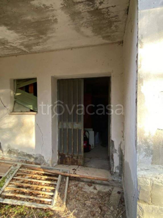 immagine annuncio 6 di 11