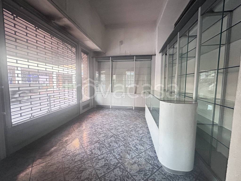 immagine annuncio 1 di 14