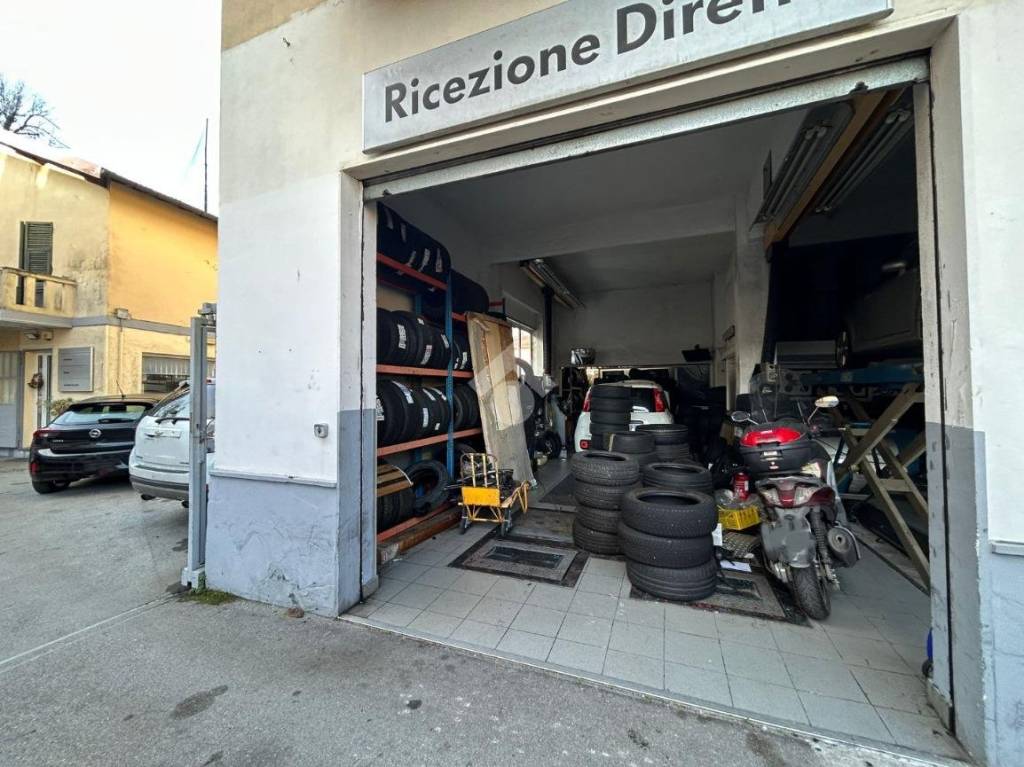 immagine annuncio 3 di 15