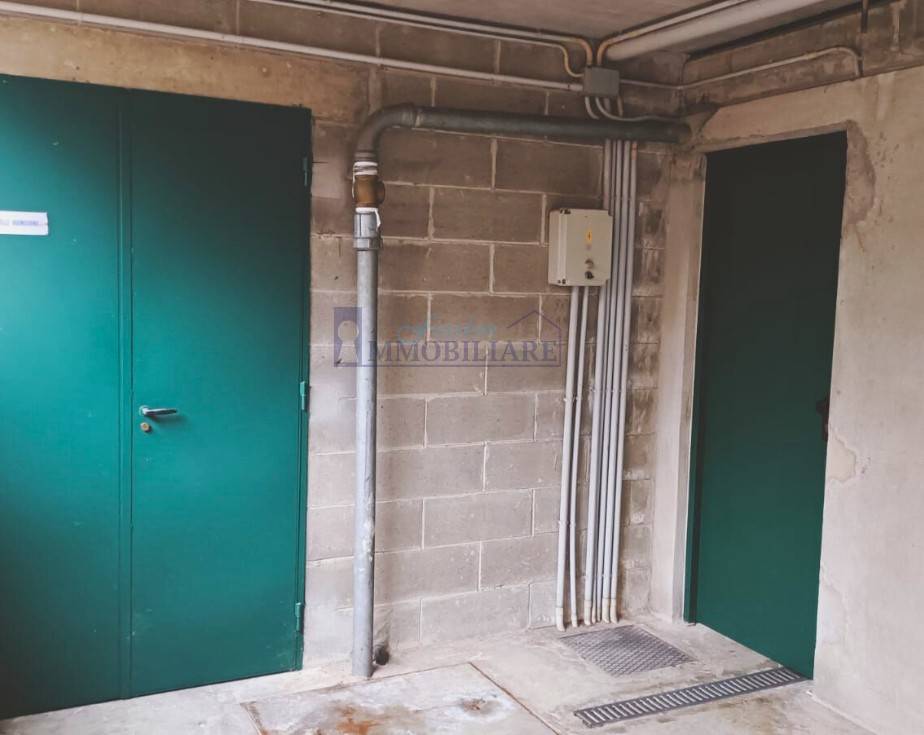 immagine annuncio 3 di 8