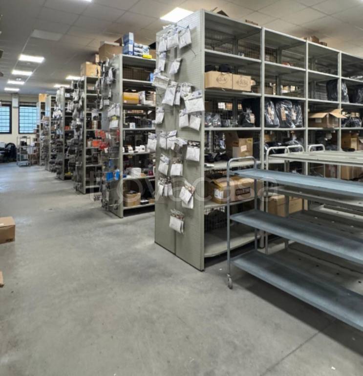 immagine annuncio 3 di 13