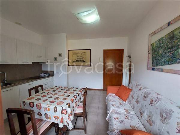 immagine annuncio 5 di 12