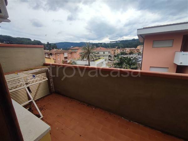 immagine annuncio 9 di 12