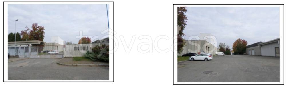 immagine annuncio 3 di 11