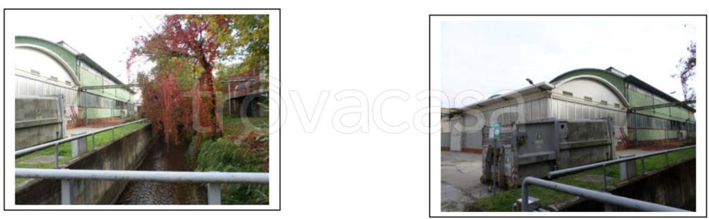 immagine annuncio 5 di 11