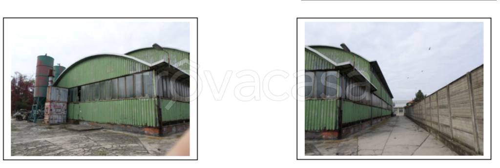 immagine annuncio 6 di 11