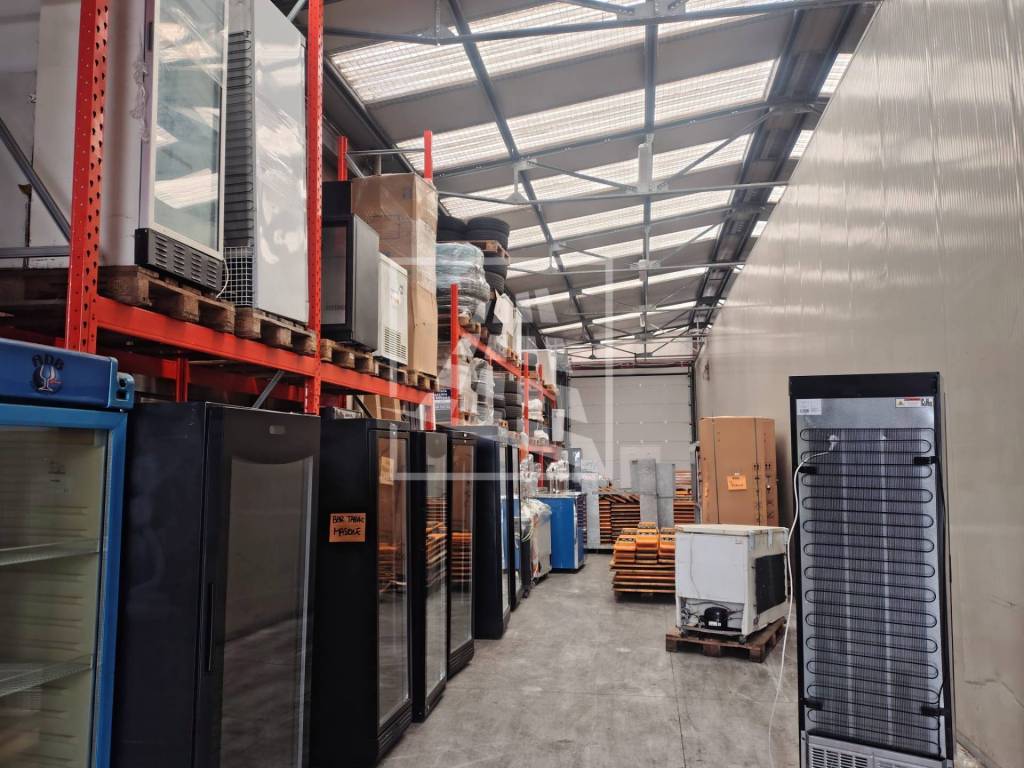 immagine annuncio 9 di 15