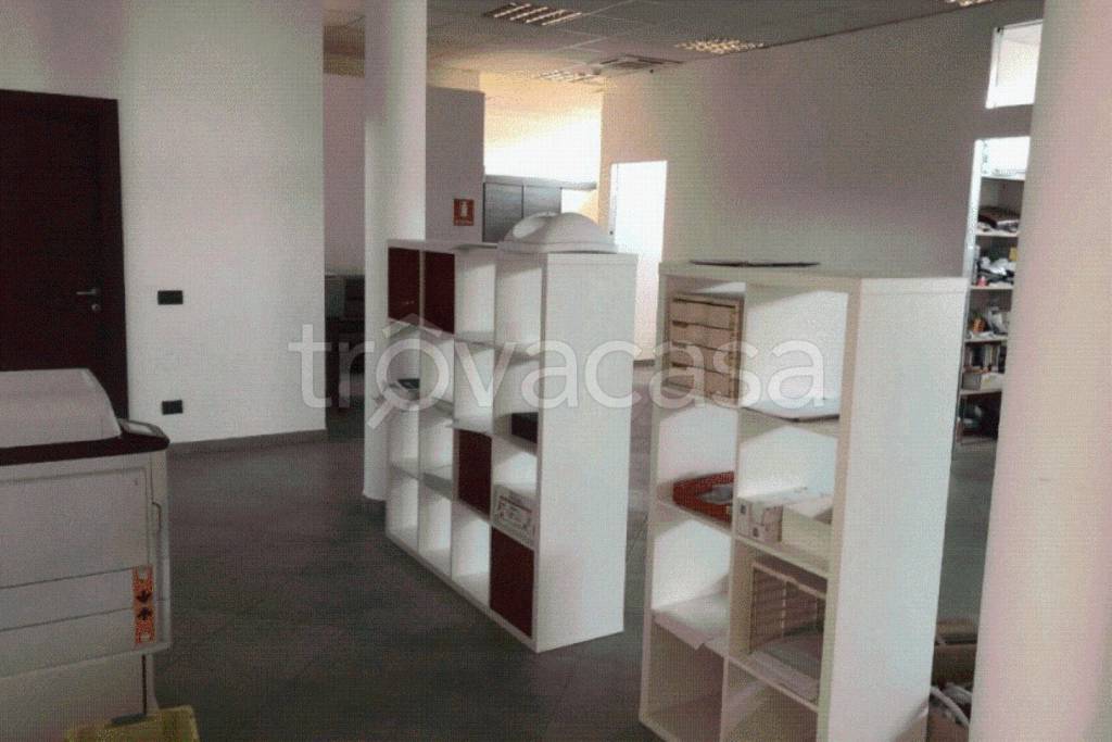 immagine annuncio 5 di 12