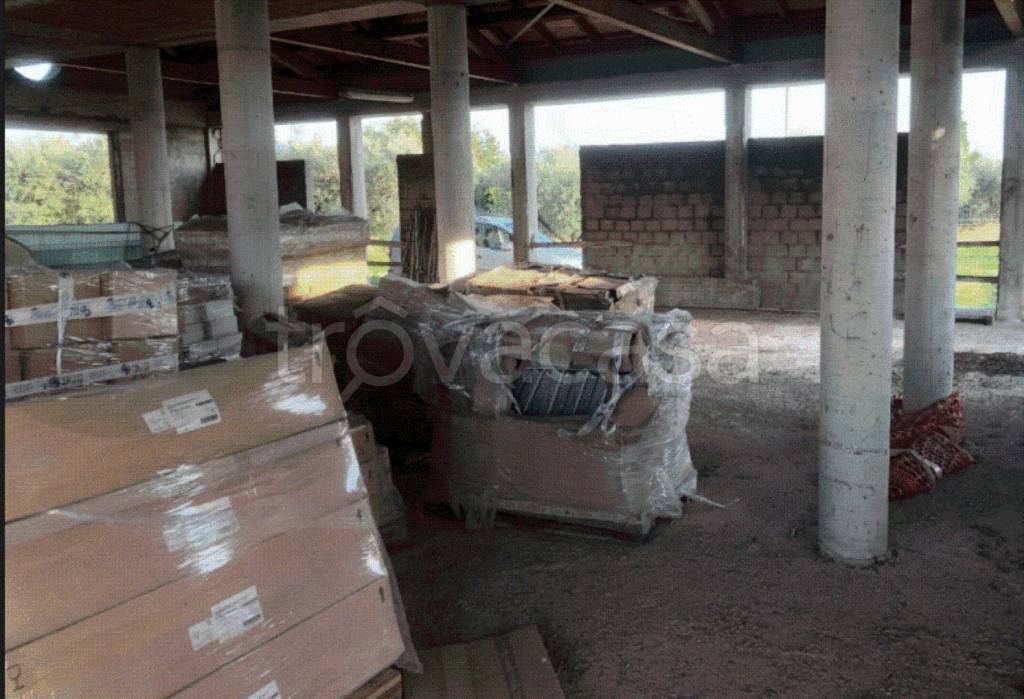 immagine annuncio 11 di 12