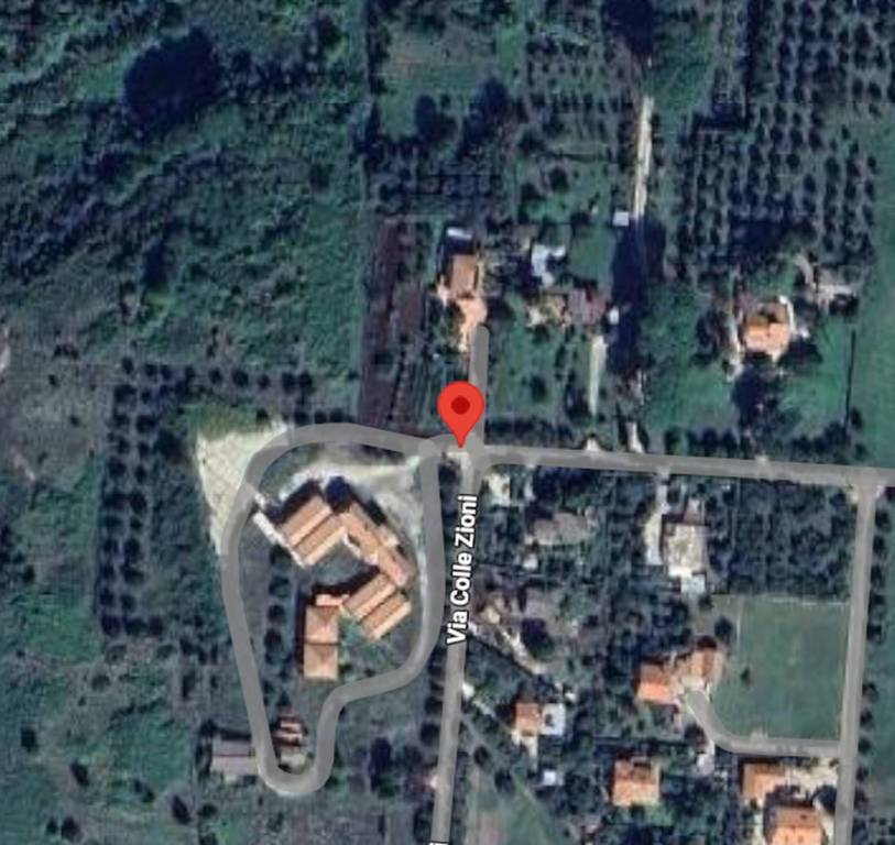 immagine annuncio 2 di 11