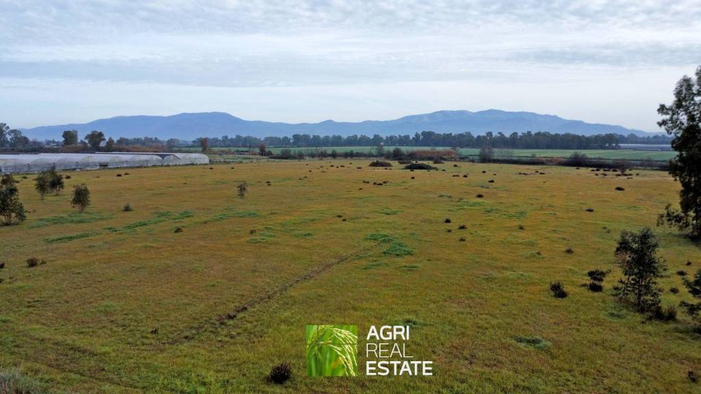 immagine annuncio 3 di 7