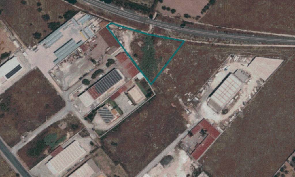 immagine annuncio 11 di 12