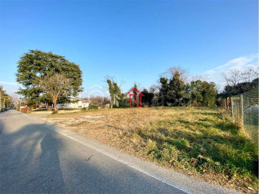 immagine annuncio 3 di 11