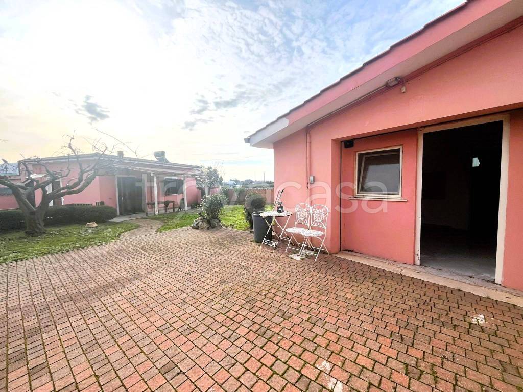 immagine annuncio 1 di 13