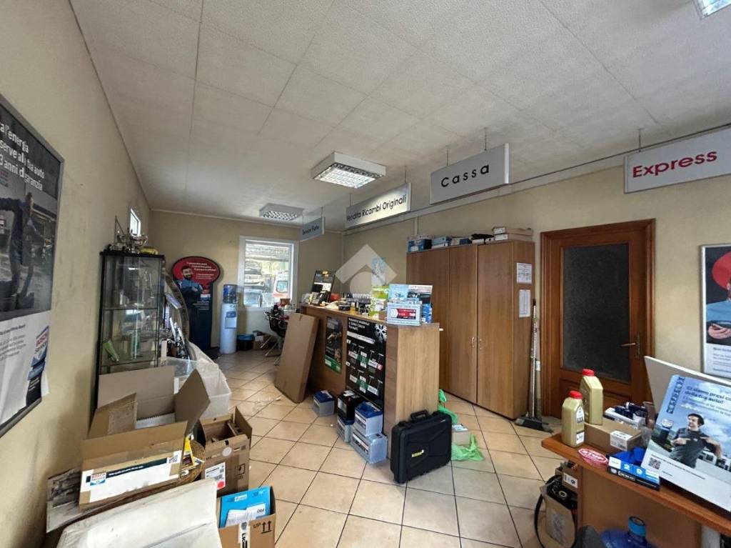 immagine annuncio 2 di 15