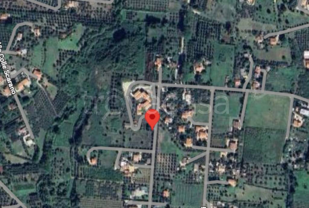 immagine annuncio 7 di 11