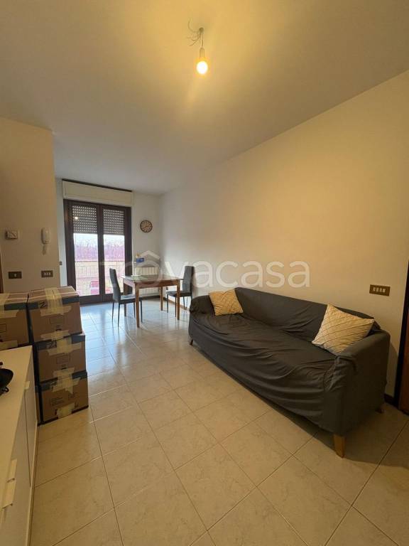 immagine annuncio 4 di 11