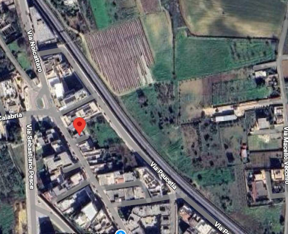 immagine annuncio 10 di 12