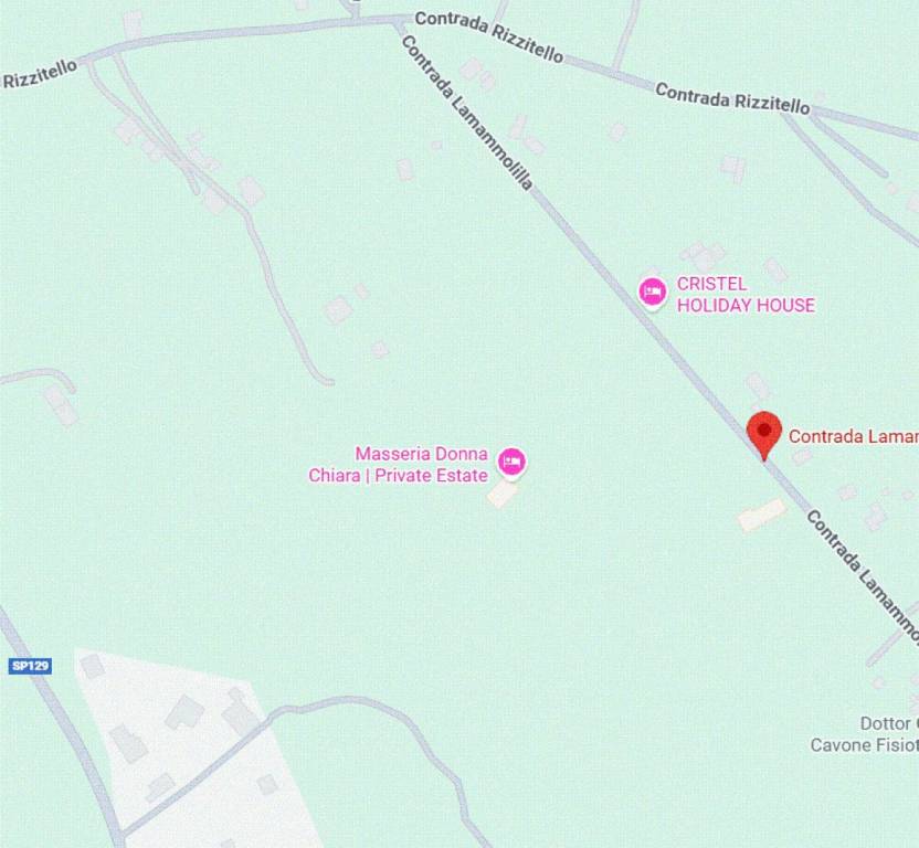 immagine annuncio 10 di 11