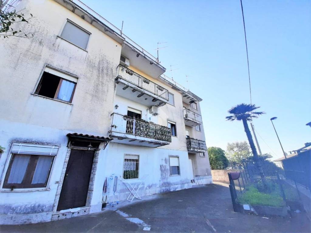 immagine annuncio 7 di 12