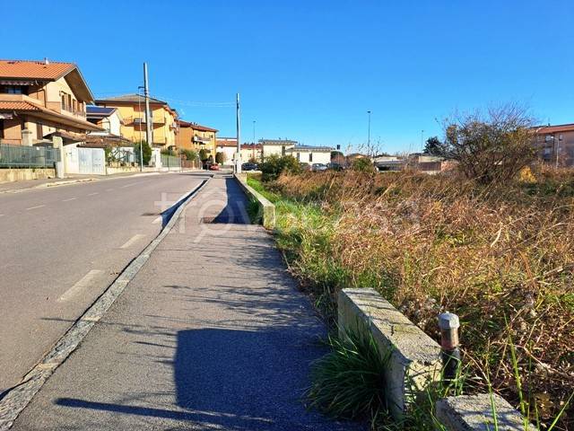 immagine annuncio 11 di 15