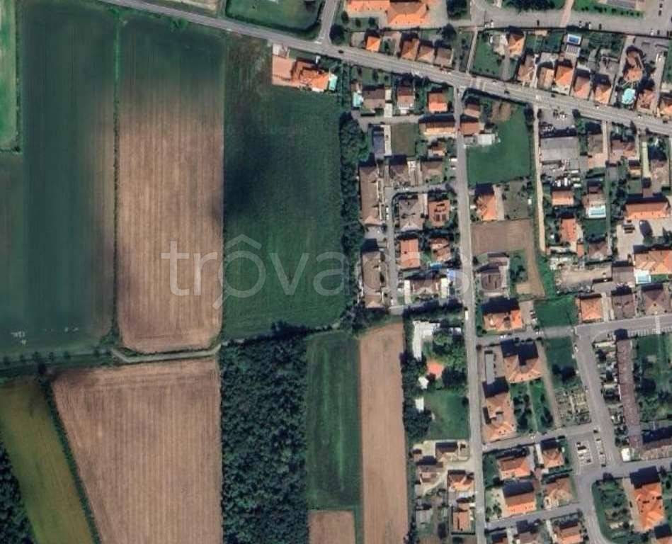 immagine annuncio 3 di 12