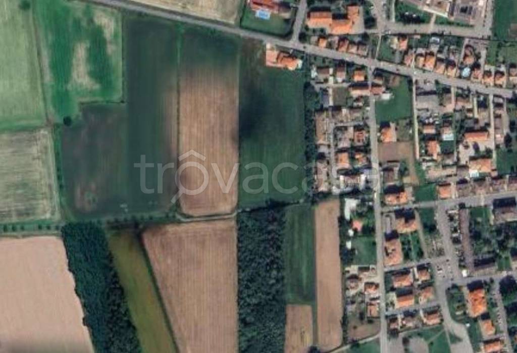 immagine annuncio 5 di 12