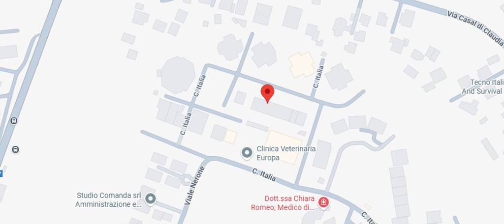 immagine annuncio 5 di 11