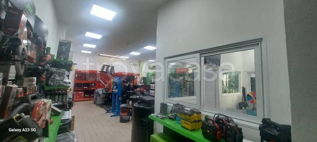 immagine annuncio 4 di 12