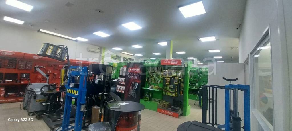 immagine annuncio 5 di 12