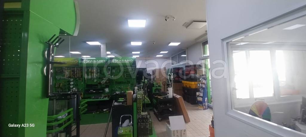 immagine annuncio 6 di 12