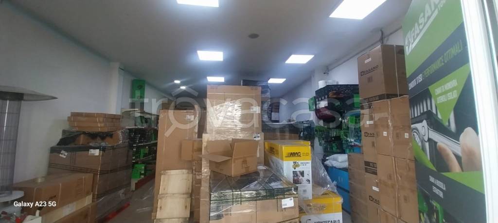 immagine annuncio 9 di 12