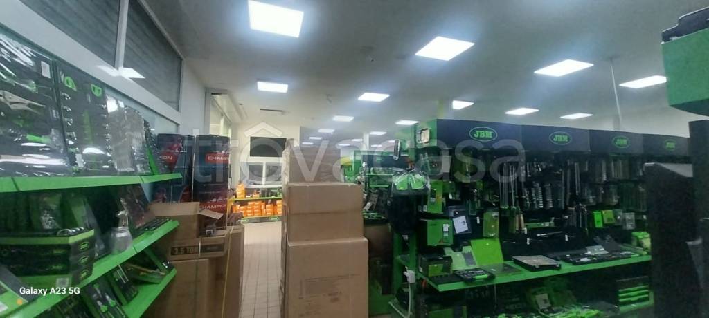 immagine annuncio 10 di 12