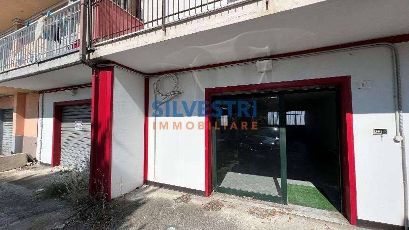 immagine annuncio 1 di 8