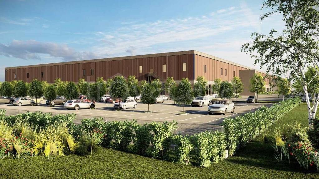 immagine annuncio 3 di 6