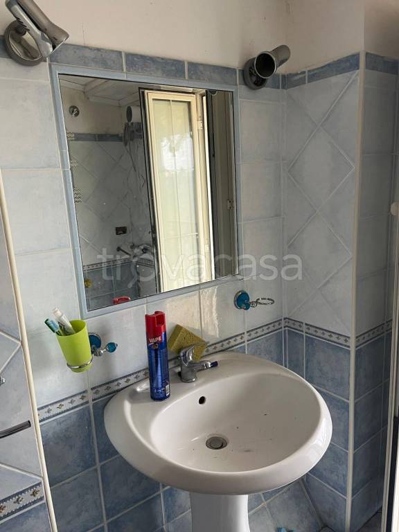 immagine annuncio 9 di 14