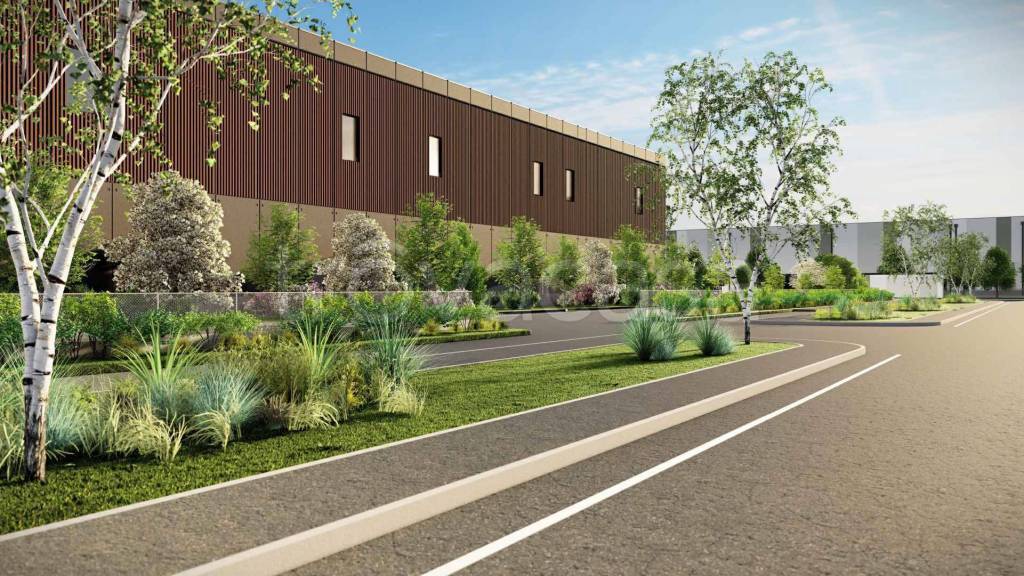 immagine annuncio 4 di 6