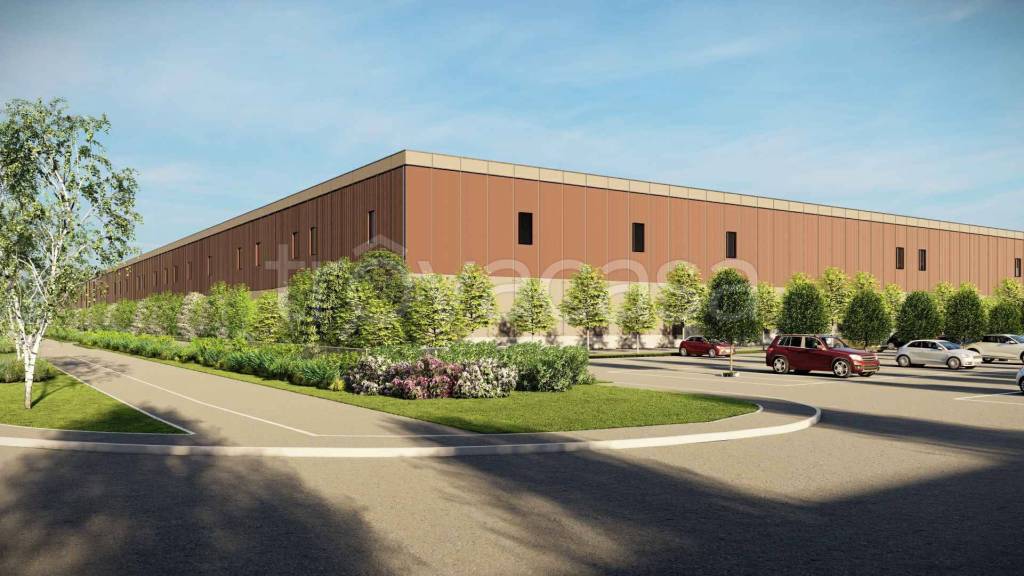 immagine annuncio 5 di 6