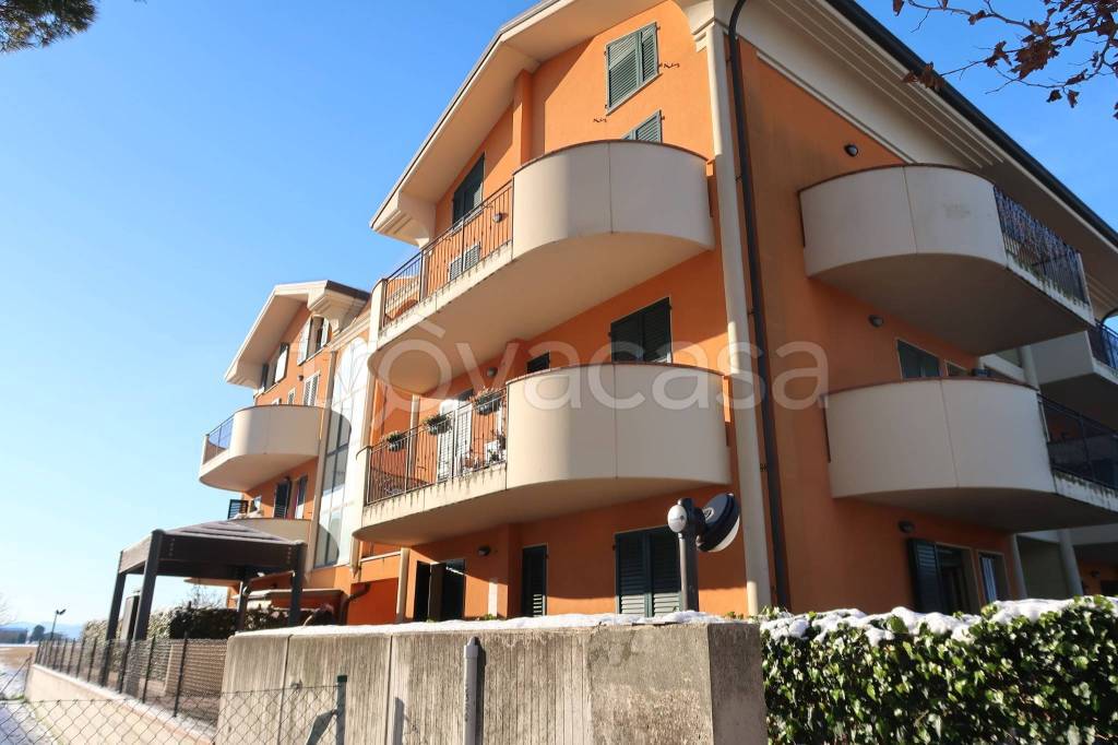 immagine annuncio 2 di 8