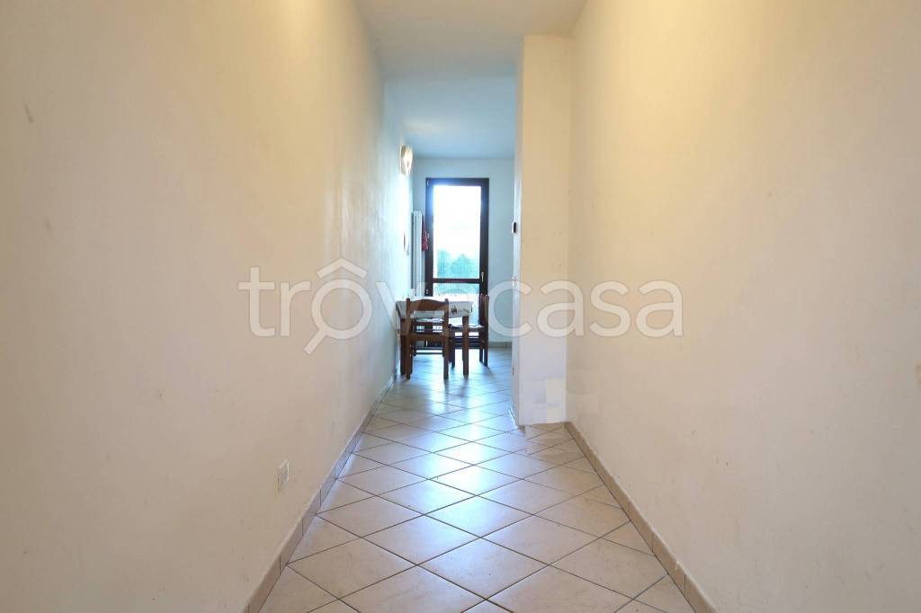 immagine annuncio 3 di 8